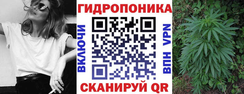 Шишки марихуана сатива Купить закладки Каневская